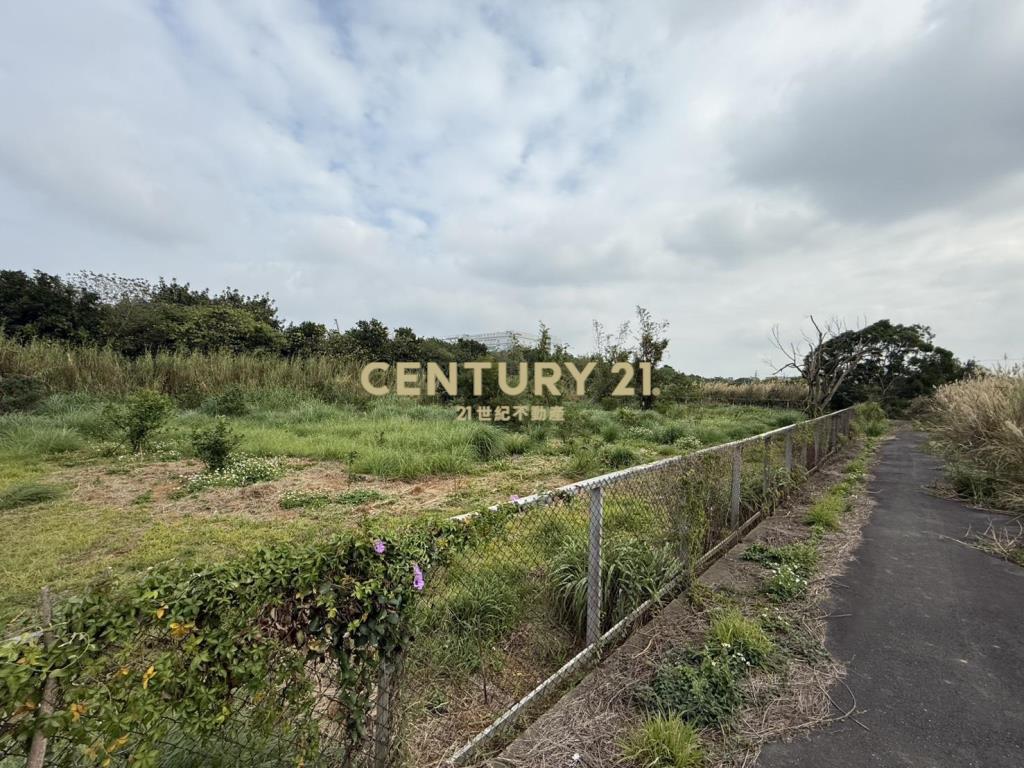 平鎮大面寬稀有一般農