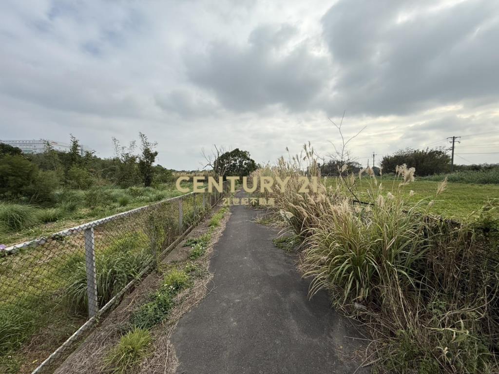 平鎮大面寬稀有一般農