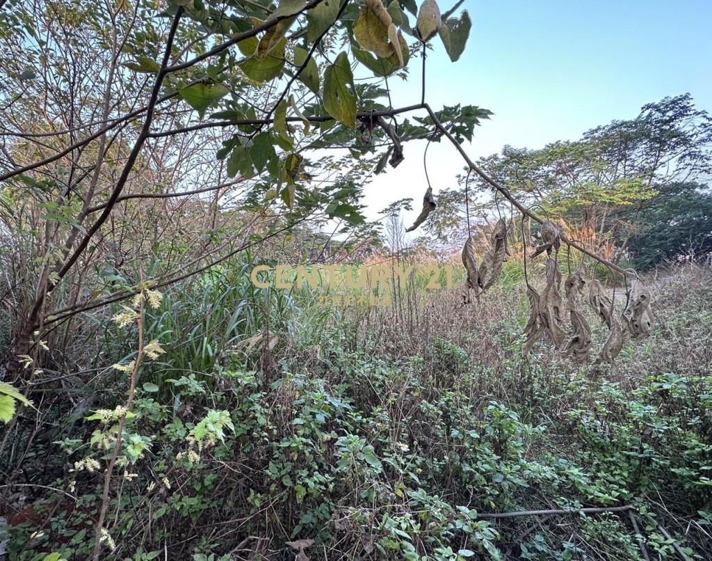 平鎮稀有方正丁種建築用地