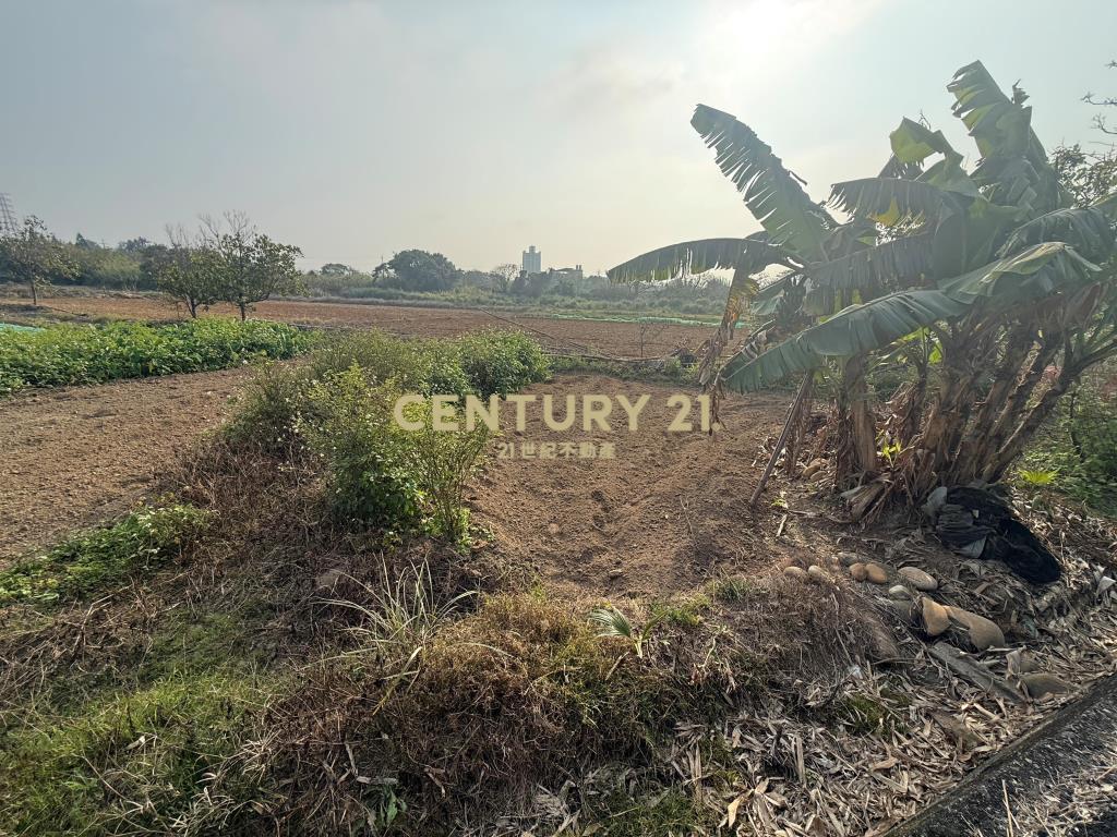 觀音光明段低價休閒農地