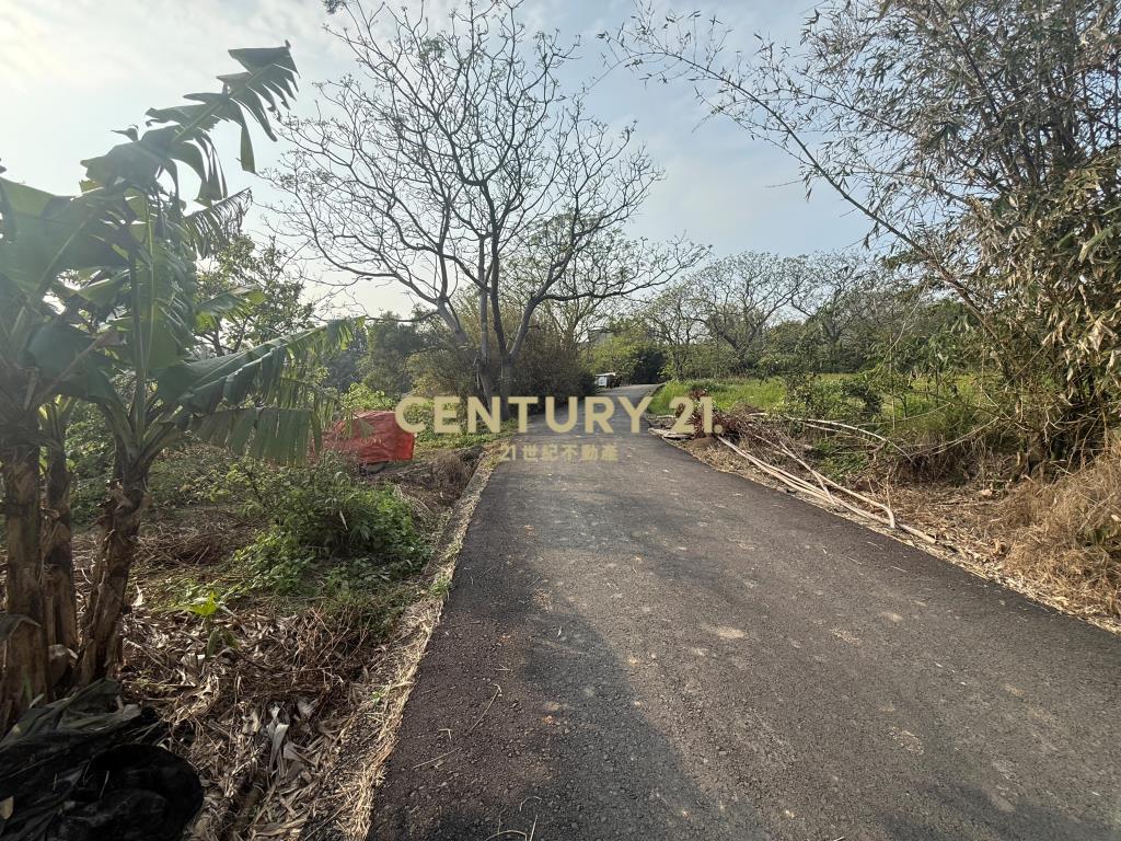 觀音光明段低價休閒農地