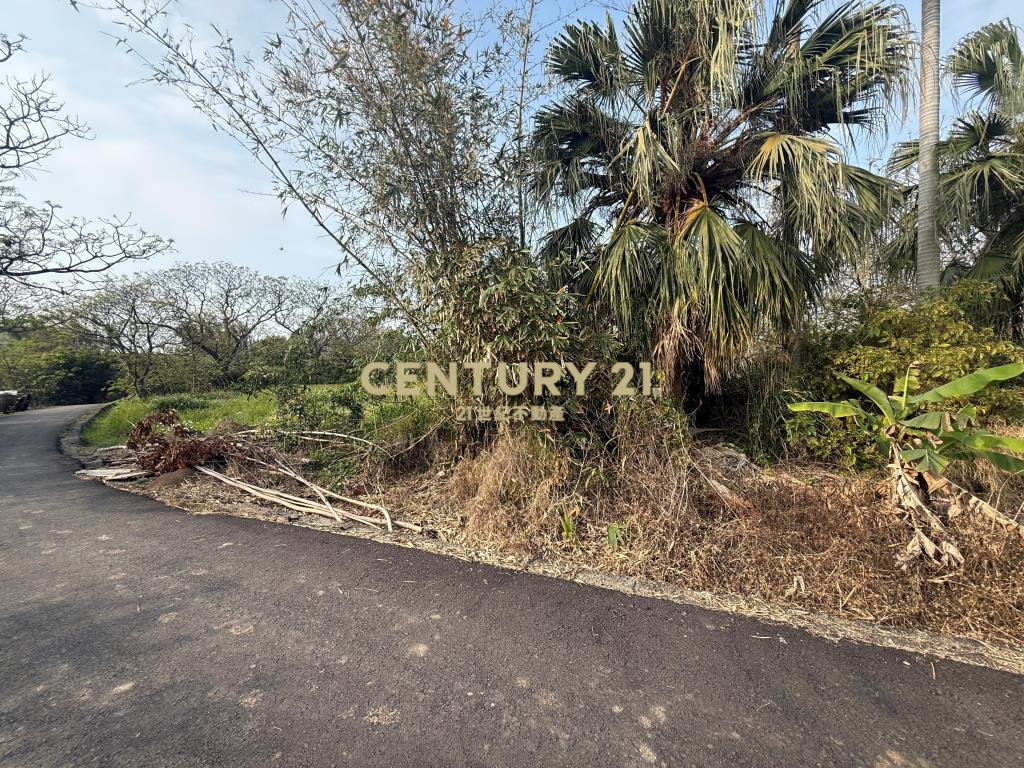 觀音光明段低價休閒農地