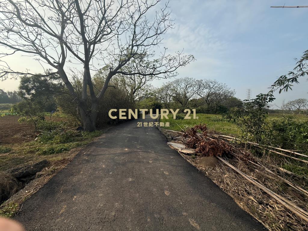 觀音光明段低價休閒農地