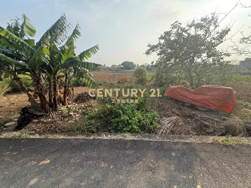 觀音光明段低價休閒農地