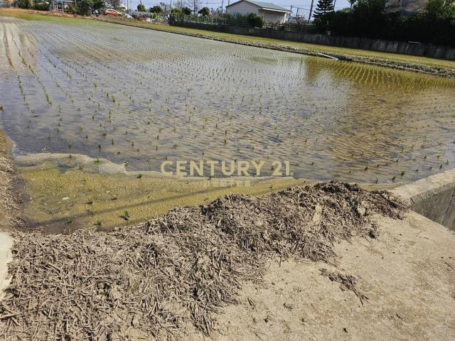 楊湖路美田1200坪