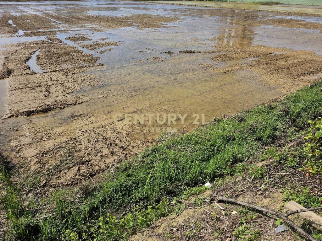 楊湖路美田1200坪