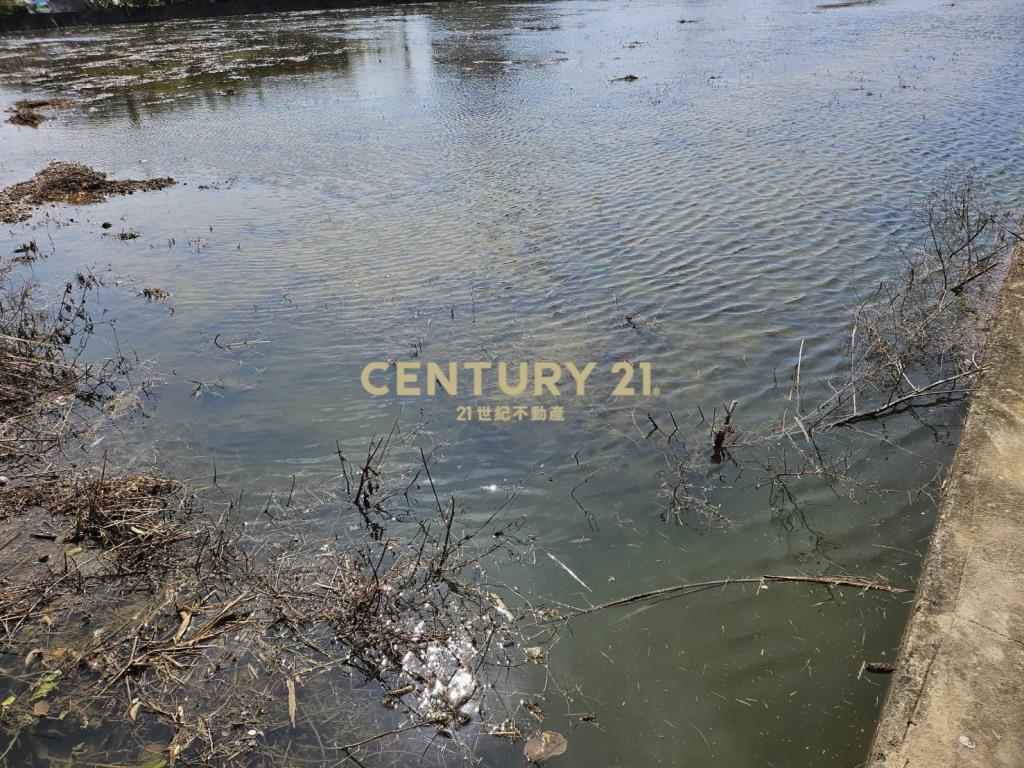 楊湖路美田1200坪