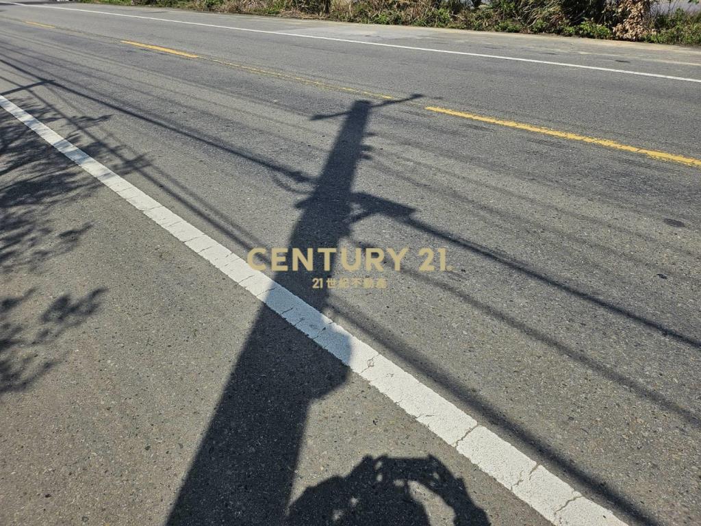 楊湖路美田1200坪