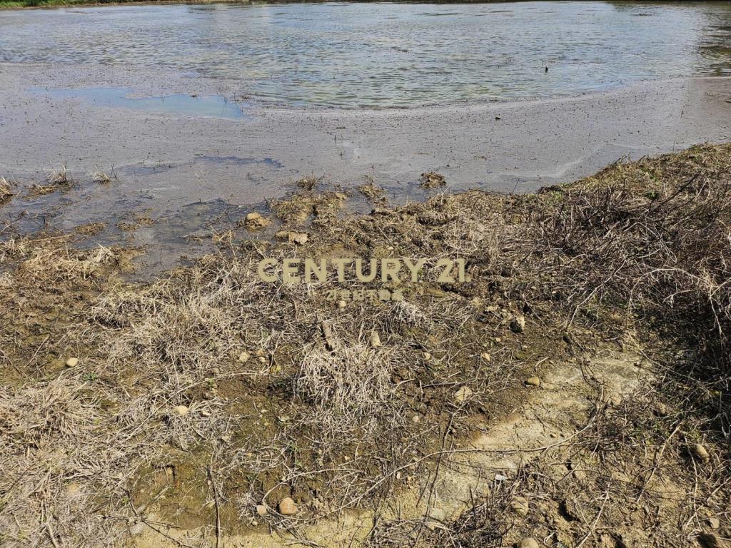 楊湖路美田1200坪