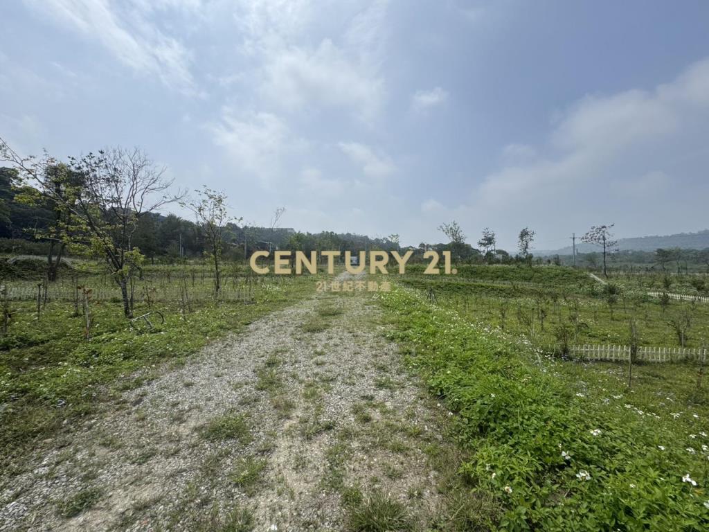 大溪漫泊苑櫻花莊園風景區農地A