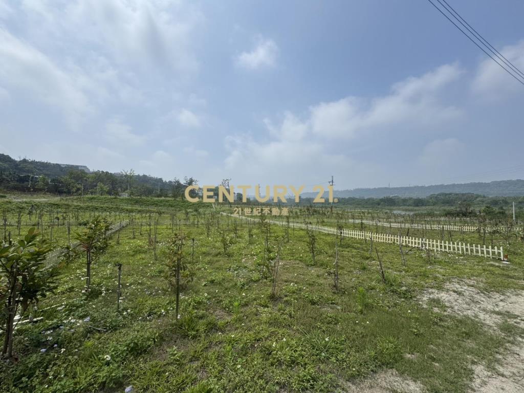 大溪漫泊苑櫻花莊園風景區農地B