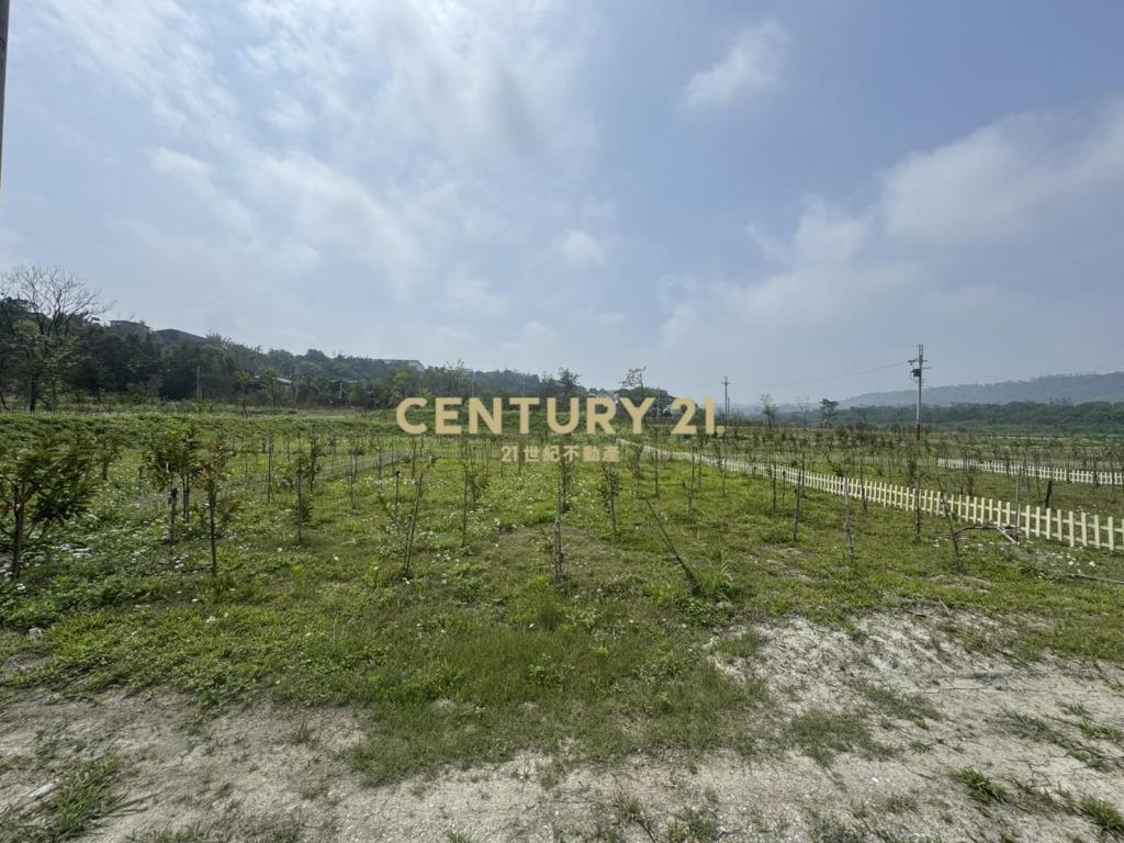 大溪漫泊苑櫻花莊園風景區農地B