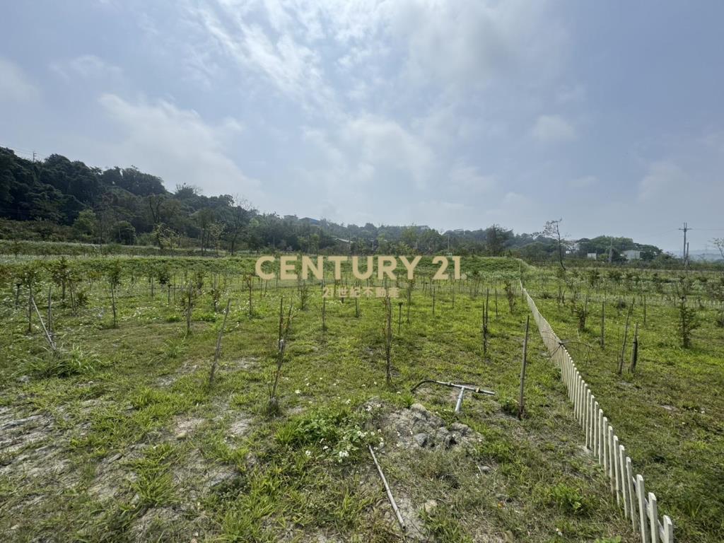 大溪漫泊苑櫻花莊園風景區農地B