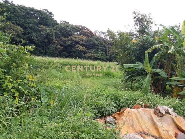 中華汽車稀有丙建