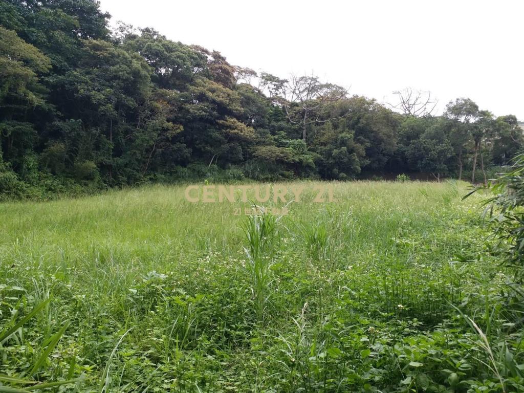 中華汽車稀有丙建