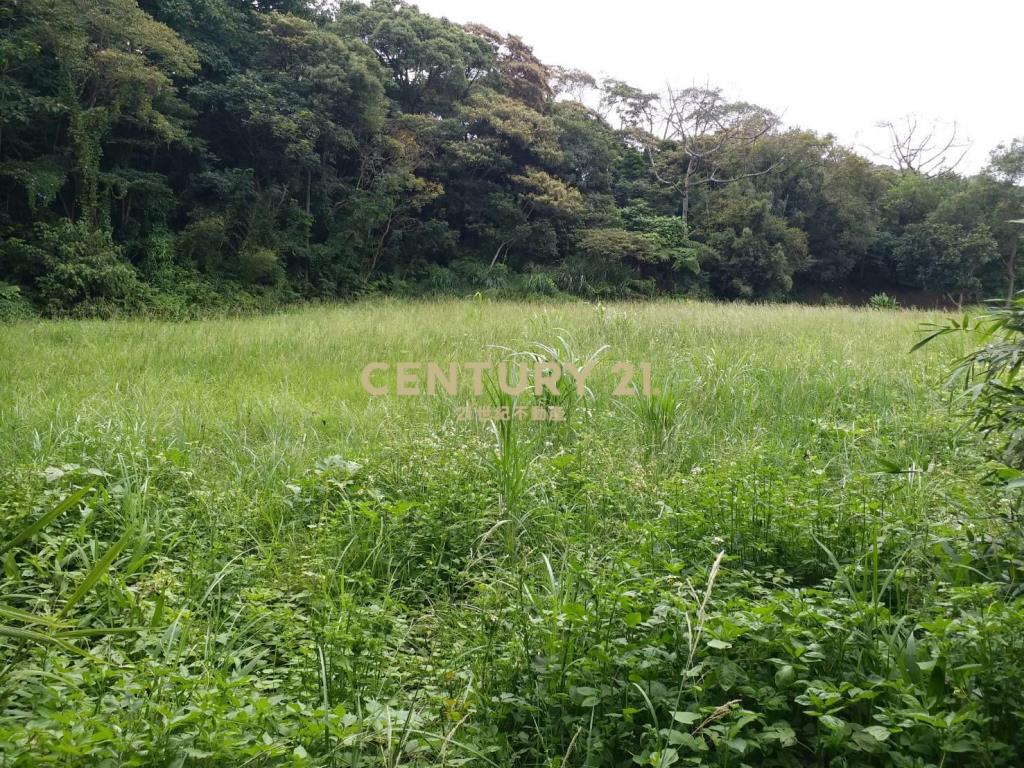 中華汽車稀有丙建