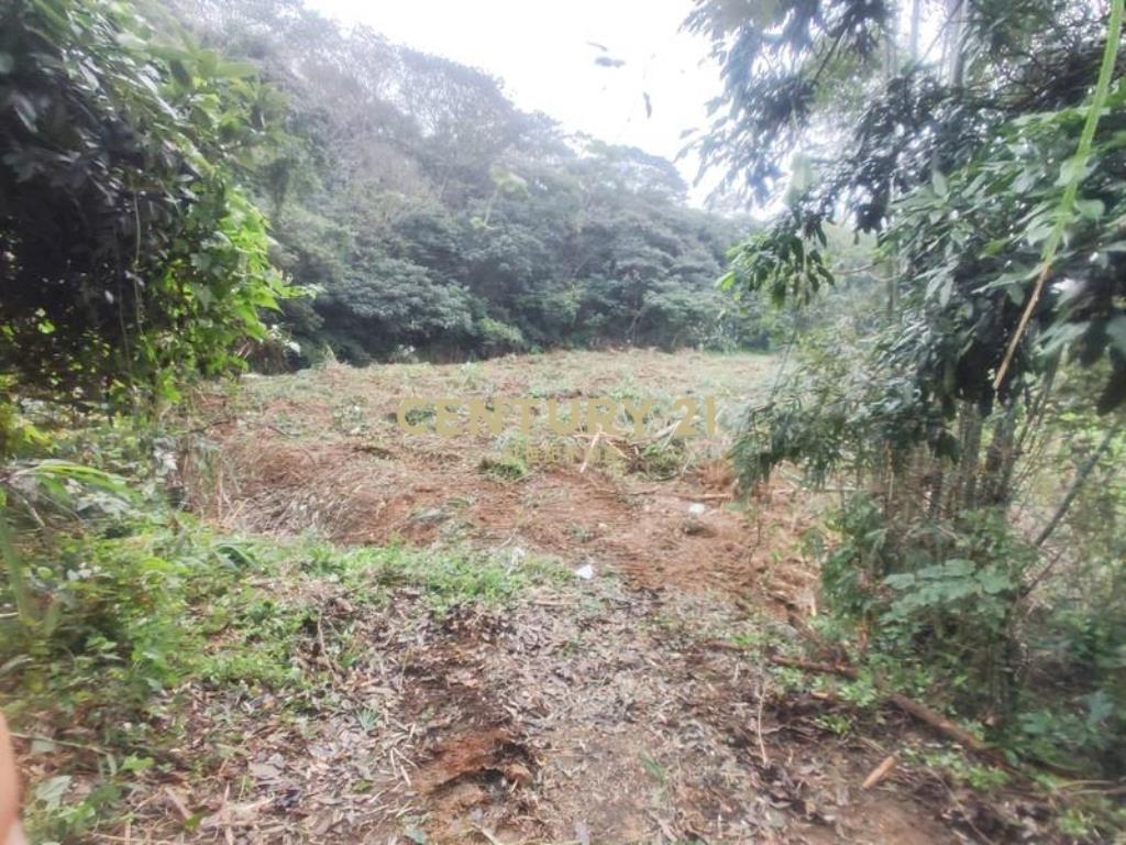 中華汽車稀有丙建