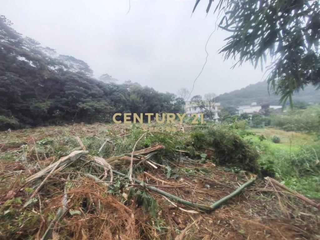 中華汽車稀有丙建