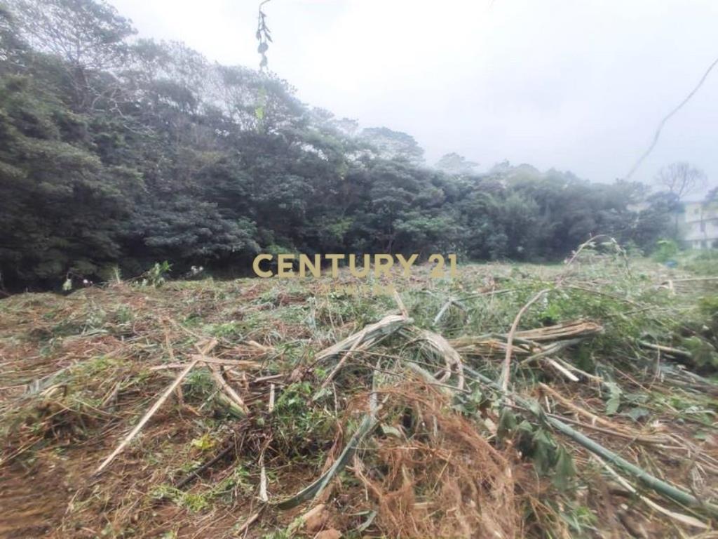 中華汽車稀有丙建