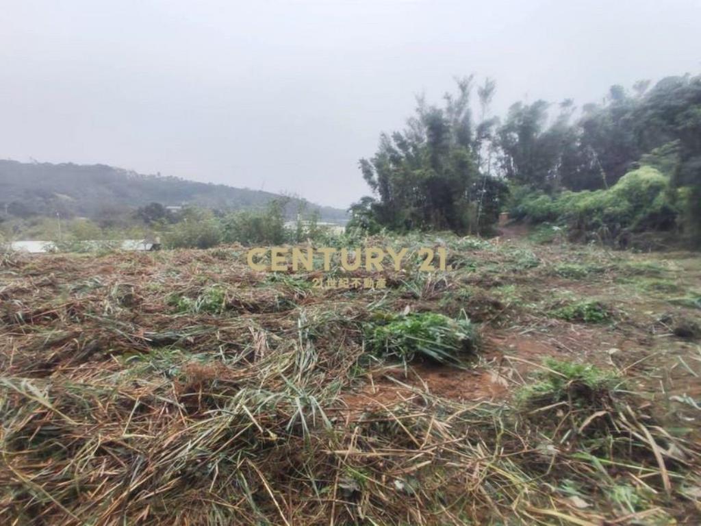 中華汽車稀有丙建