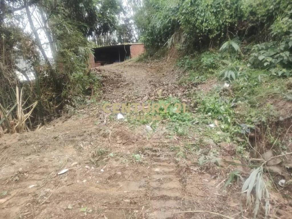 中華汽車稀有丙建