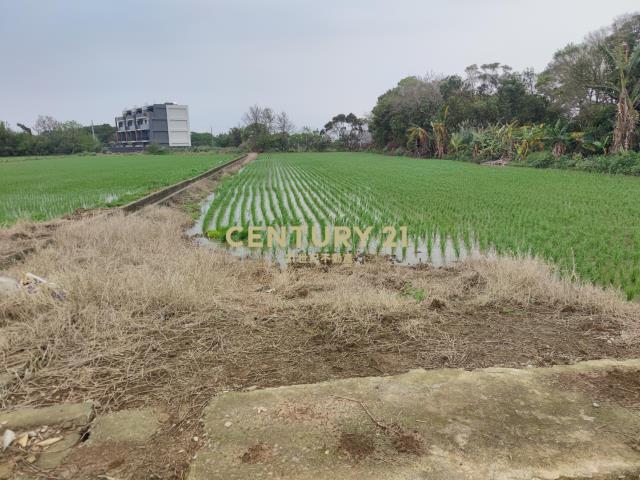 楊湖路三元宮 楊富段方正特農