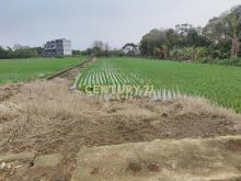 楊湖路三元宮 楊富段方正特農