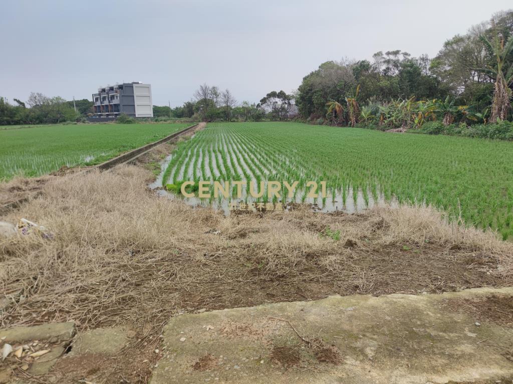 楊湖路三元宮 楊富段方正特農