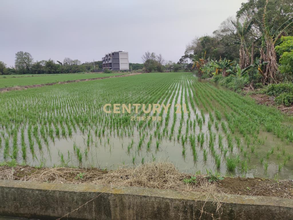 楊湖路三元宮 楊富段方正特農