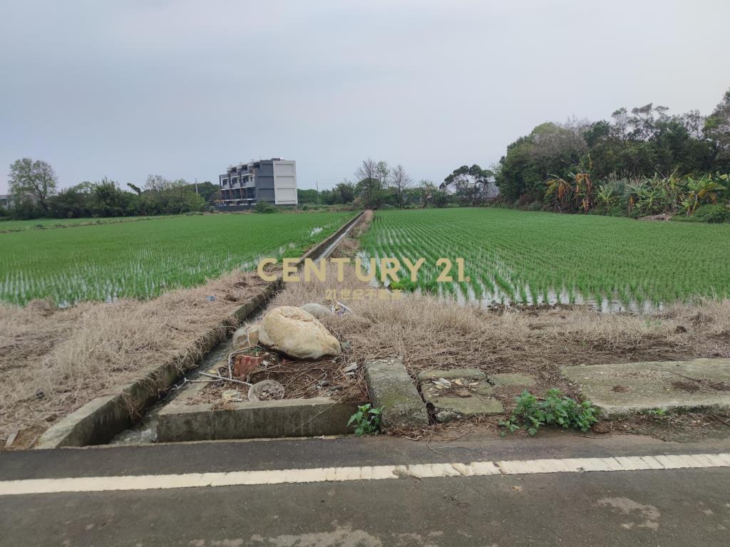 楊湖路三元宮 楊富段方正特農