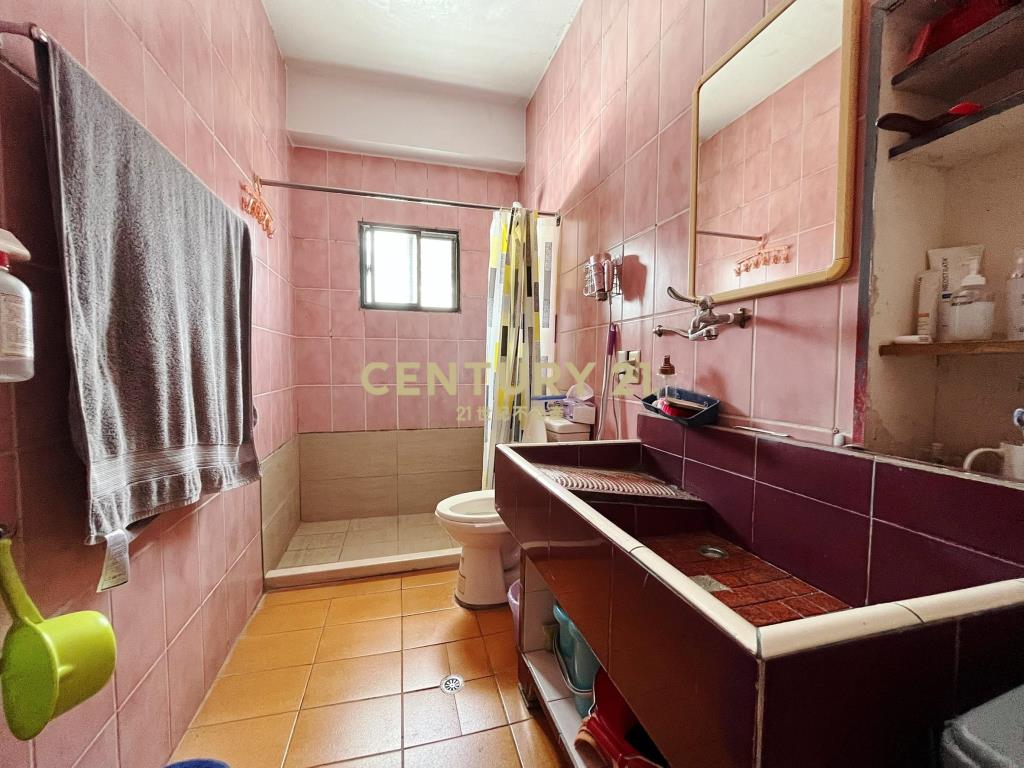 平鎮新勢公園延平路正路邊美透天