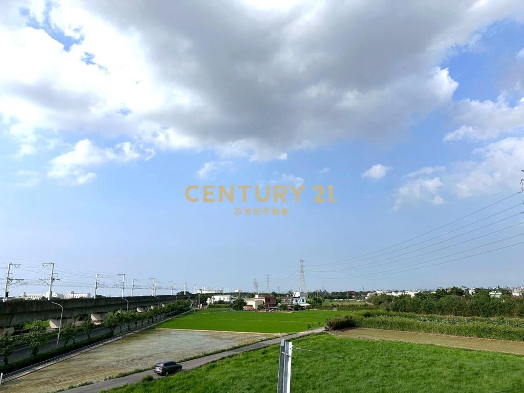 仙草花海邊間三車位美別墅