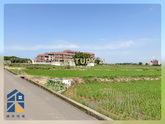 富岡鄰路優美農地