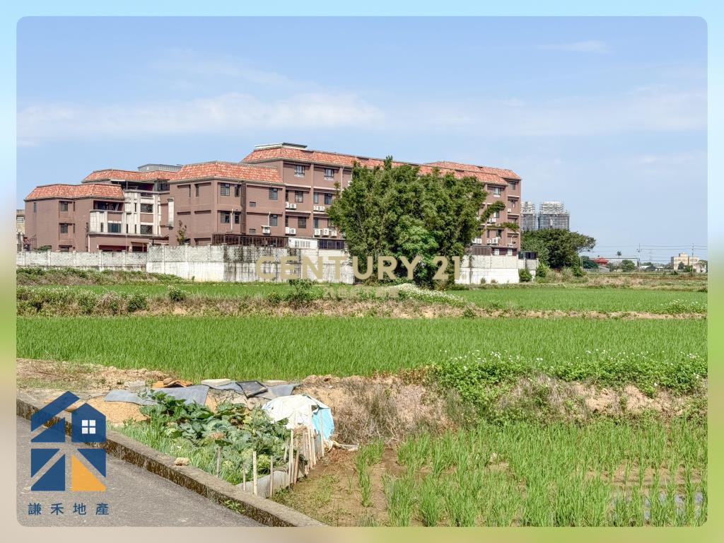 富岡鄰路優美農地