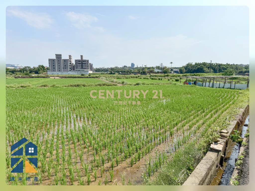 富岡鄰路優美農地