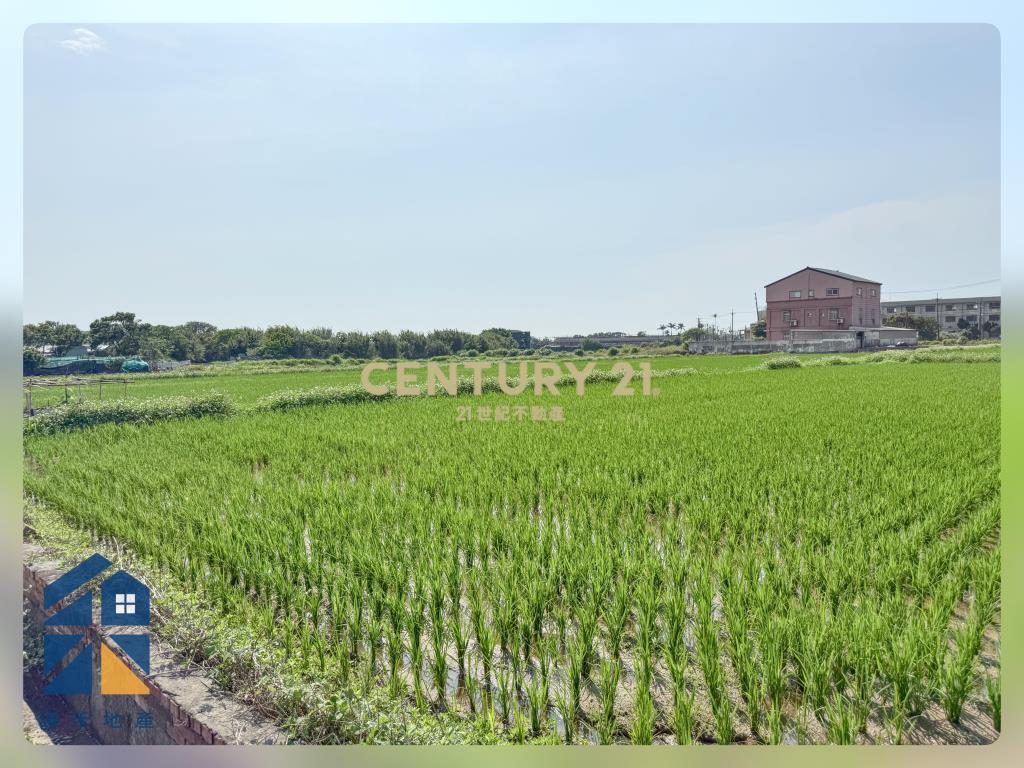 富岡鄰路優美農地