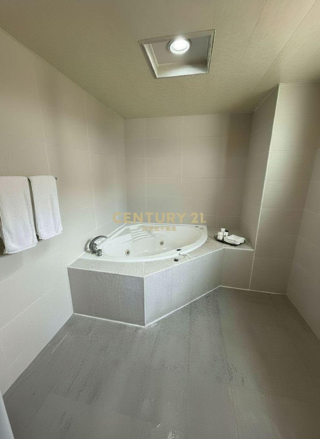 桃園高鐵站前雙車位別墅