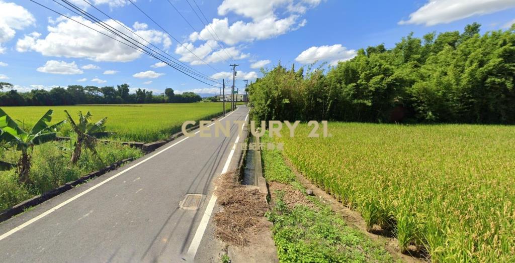 機捷A19站旁95坪甲建