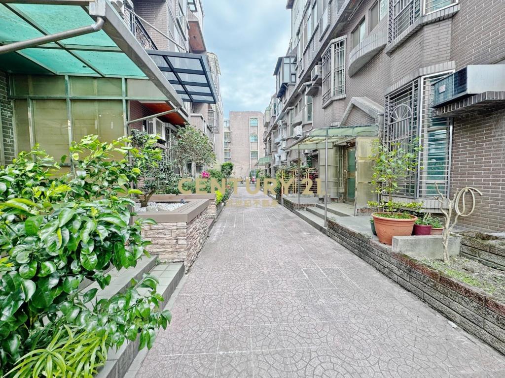楊新路椰城全新整理別墅