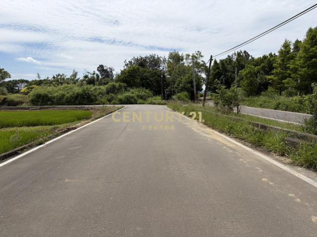 楊梅富岡段美農地786坪