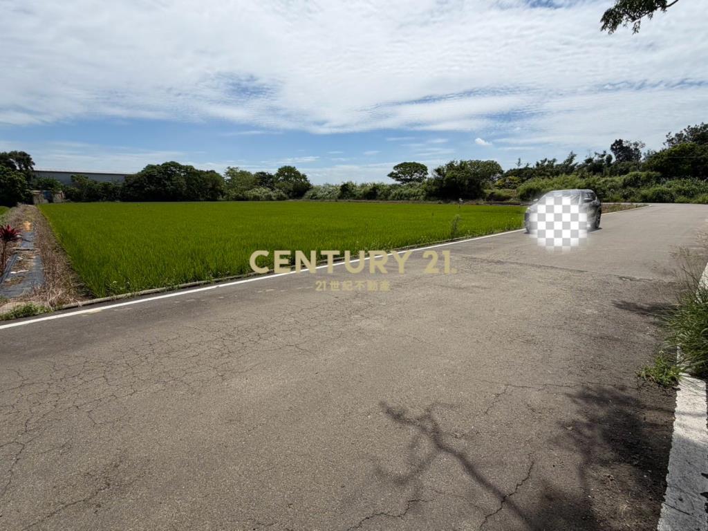 楊梅富岡段美農地786坪