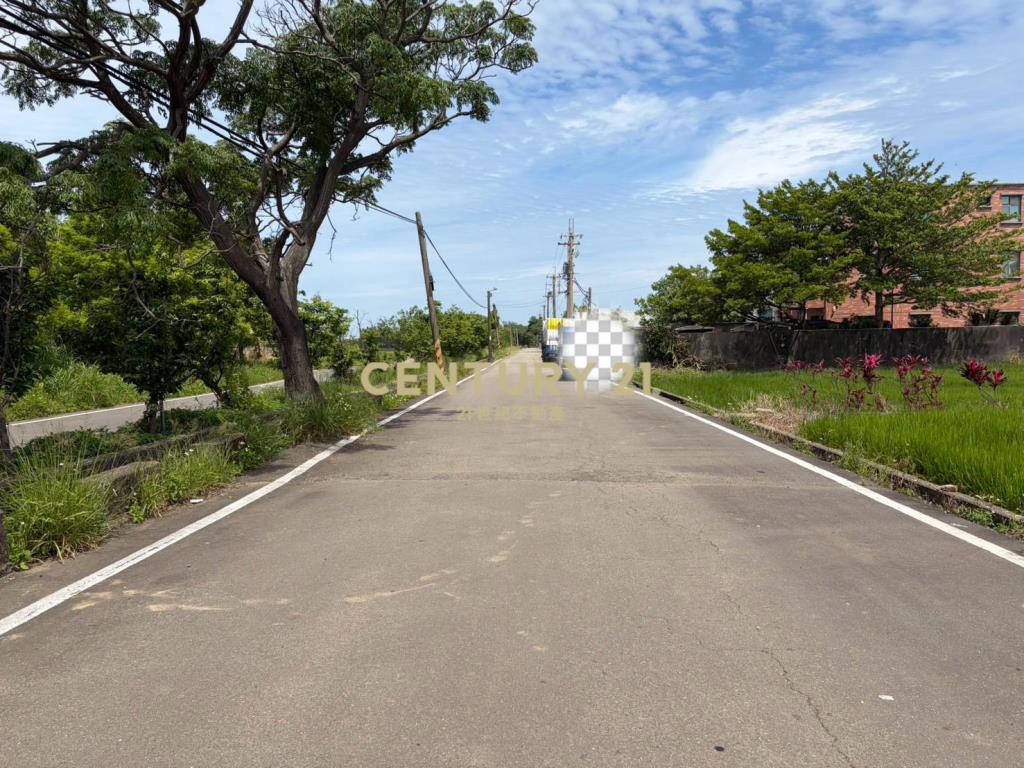 楊梅富岡段美農地786坪