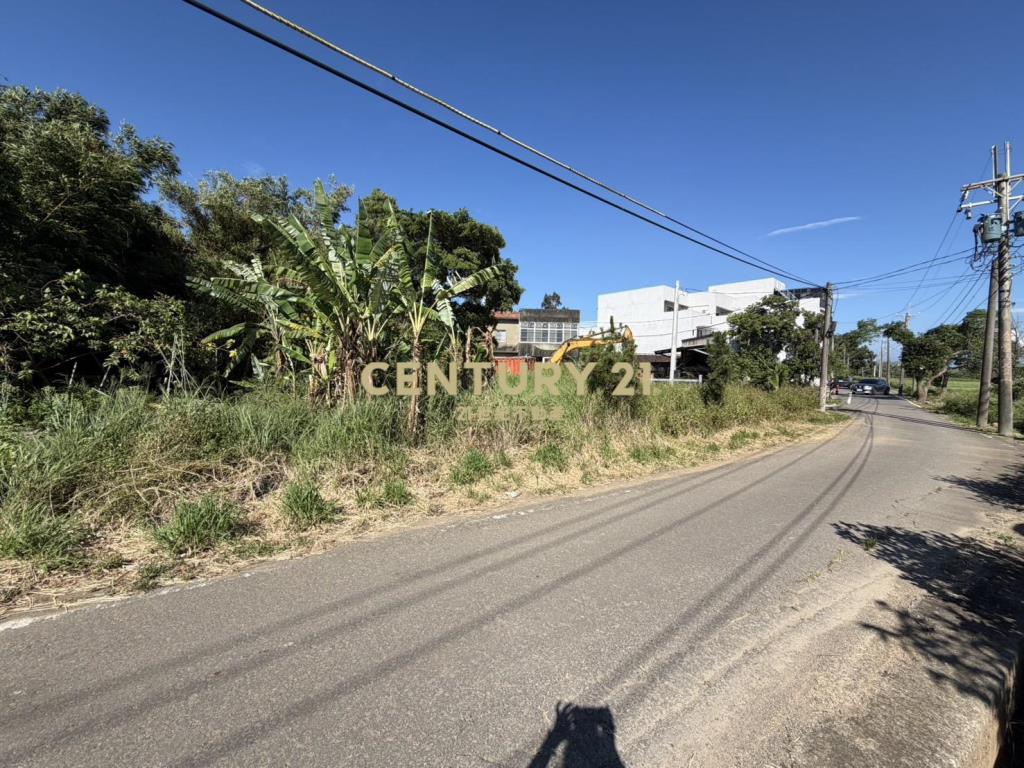 楊梅楊湖段甲建147坪
