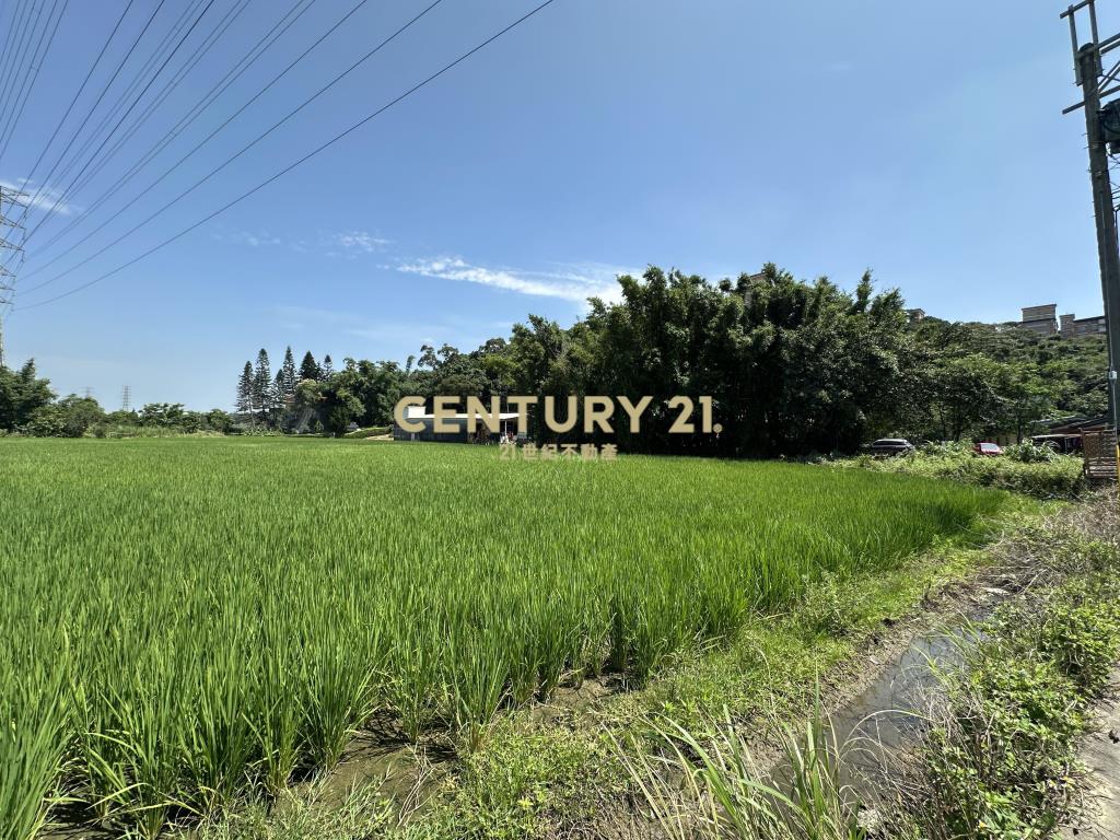 楊梅近火車站丙建+農地