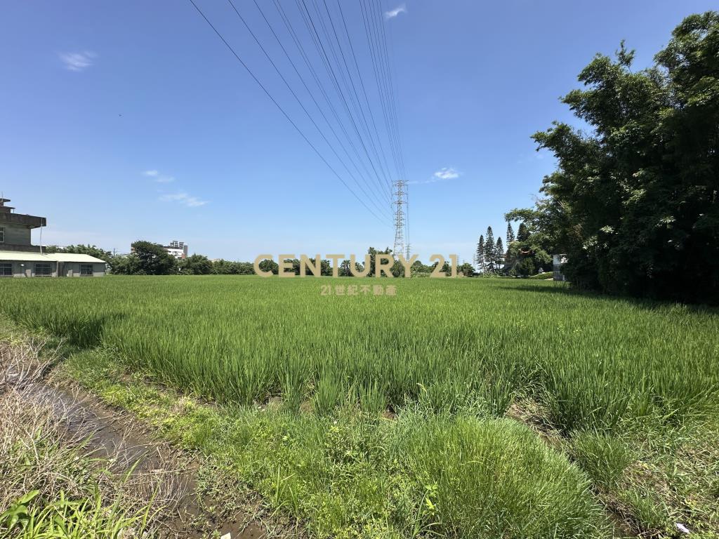 楊梅近火車站丙建+農地