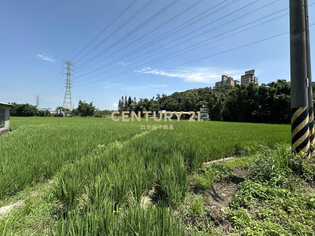 楊梅近火車站丙建+農地