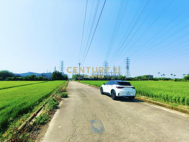 觀音富源段🌳6米路旁~964坪大面寬農