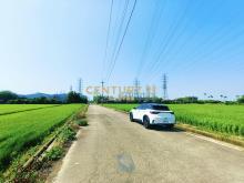 觀音富源段🌳6米路旁~964坪大面寬農