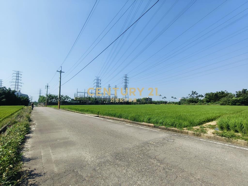 觀音富源段🌳6米路旁~964坪大面寬農