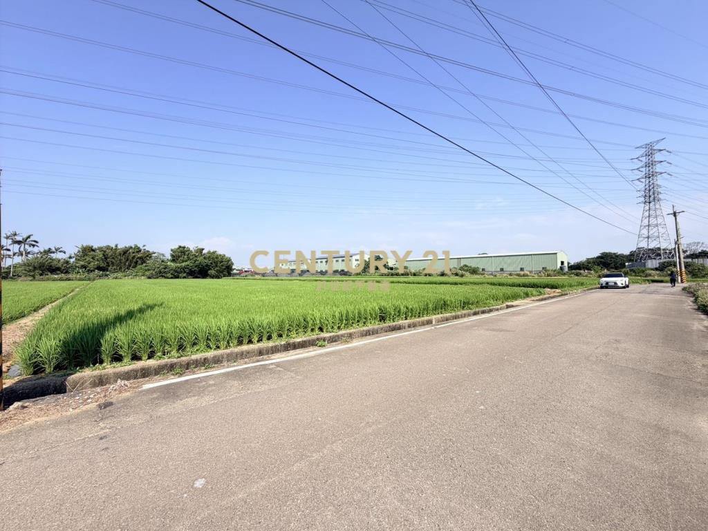 觀音富源段🌳6米路旁~964坪大面寬農